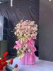 shop-hoa-tuoi-xa-thanh-tung-ca-mau - ảnh nhỏ  1